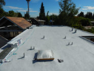 eichler spray foam roof